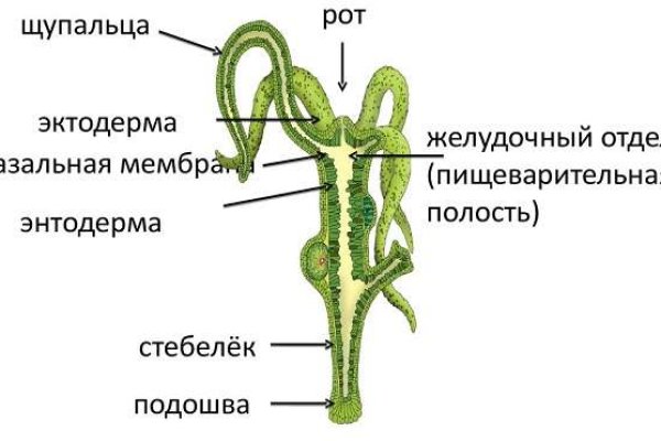 Kraken ссылка зеркало официальный