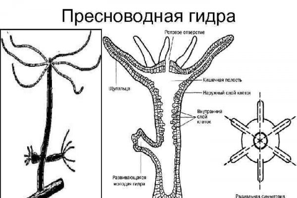 Кракен сайт что будет если зайти