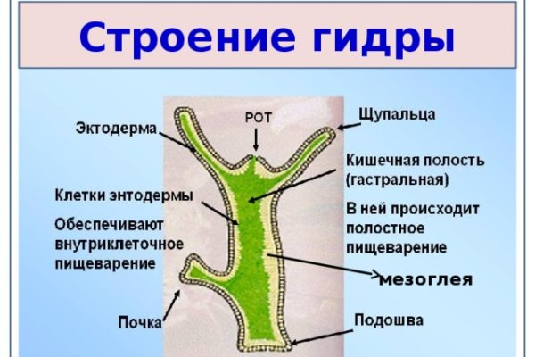 Украли аккаунт на кракене