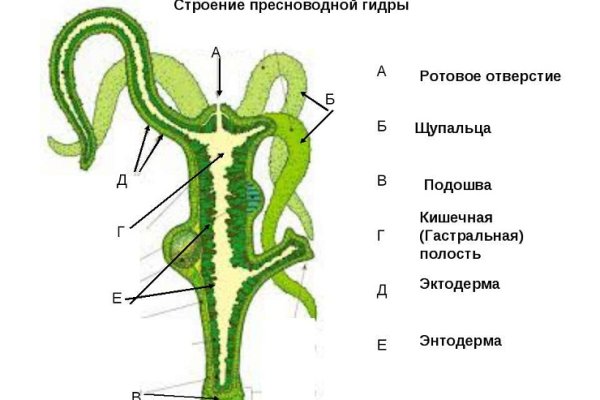 Ссылки на дарк нет